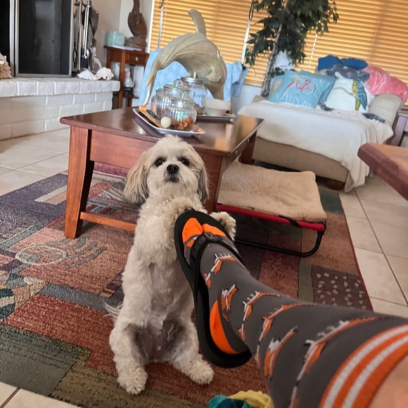 Meet your Posher, Ali! - Picture 7 of 12